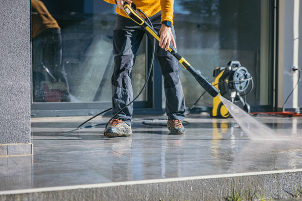 Animal Enclosure Cleaning in Shanor Northvue, PA